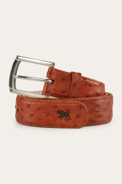 Telford Belt - Chestnut Ostrich
