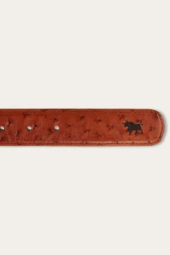 Telford Belt - Chestnut Ostrich